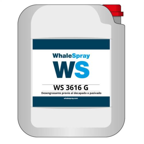 WS 3616 G